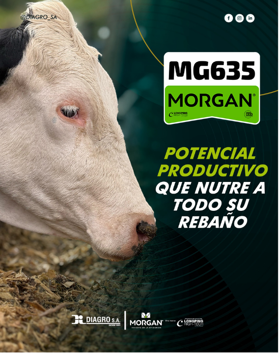 Pieza para redes sociales de Diagro y Morgan